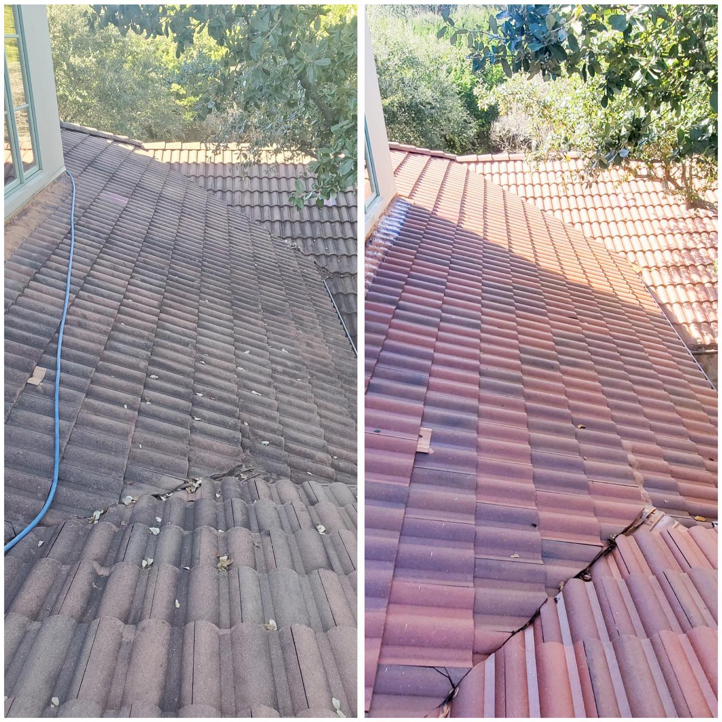 roof cleaning bee cave tx